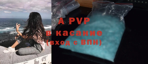 стафф Зерноград